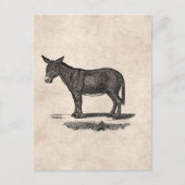  Donkey Illustration - Donkeys 1800 Briefkaart (Voorkant)