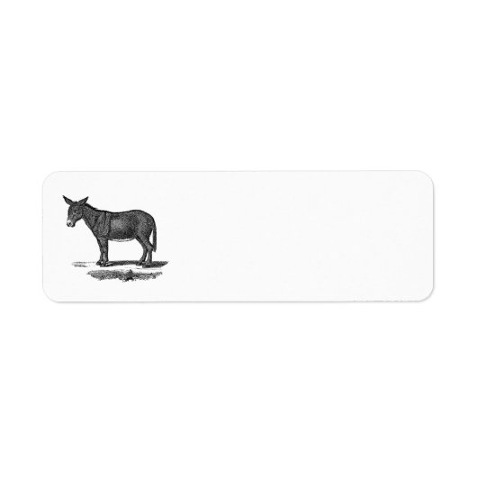  Donkey Illustration - Donkeys 1800 Etiket (Voorkant)
