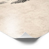  Donkey Illustration - Donkeys 1800 Foto Afdruk (Hoek)