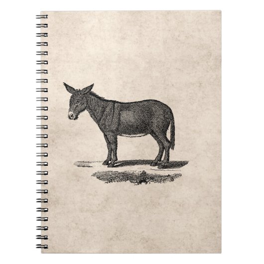  Donkey Illustration - Donkeys 1800 Notitieboek (Voorkant)