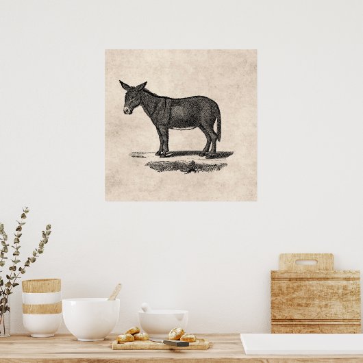  Donkey Illustration - Donkeys 1800 Poster (Keuken)