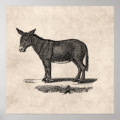 Donkey Illustration - Donkeys 1800 Poster (Voorkant)