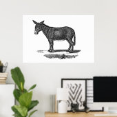 Donkey Illustration - Donkeys 1800 Poster (Thuiskantoor)