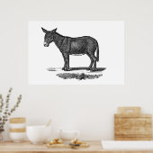  Donkey Illustration - Donkeys 1800 Poster (Keuken)