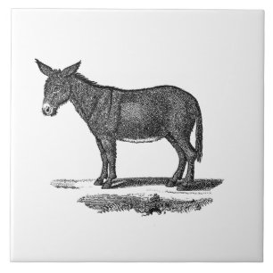  Donkey Illustration - Donkeys 1800 Tegeltje