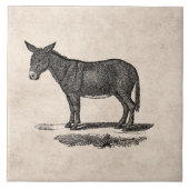  Donkey Illustration - Donkeys 1800 Tegeltje (Voorkant)