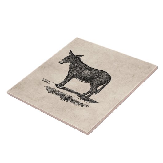  Donkey Illustration - Donkeys 1800 Tegeltje (Zijkant)