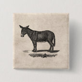 Donkey Illustration - Donkeys 1800 Vierkante Button 5,1 Cm (Voorkant)