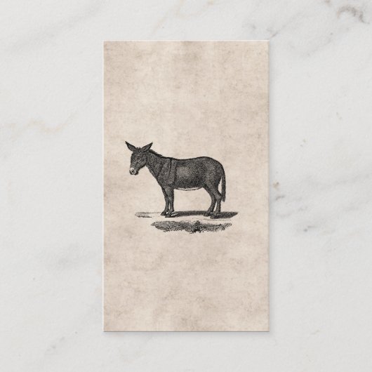  Donkey Illustration - Donkeys 1800 Visitekaartje (Voorkant)