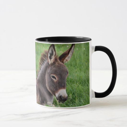 Donkey in de gras mok (Rechts)