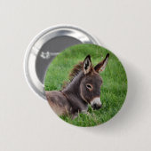 Donkey in de gras ronde button 5,7 cm (Voorkant /achterkant)