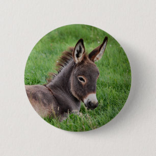 Donkey in de gras ronde button 5,7 cm