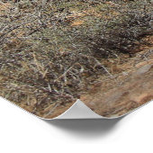 Donkey in de woestijn in Las Vegas, NV Poster (Hoek)