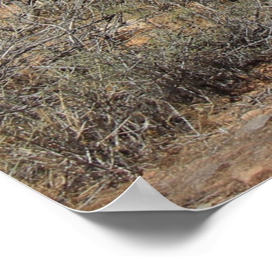 Donkey in de woestijn in Las Vegas, NV Poster (Hoek)