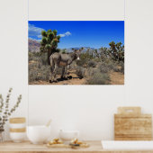 Donkey in de woestijn in Las Vegas, NV Poster (Keuken)
