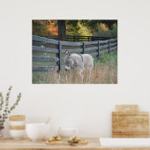 Donkey in een Autumn Field Briefkaart Poster (Keuken)