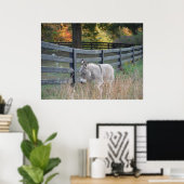 Donkey in een Autumn Field Briefkaart Poster (Thuiskantoor)