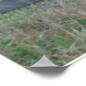 Donkey in een Autumn Field Briefkaart Poster (Hoek)