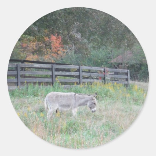 Donkey in een Herfst herfst veld. Ronde Sticker (Voorkant)