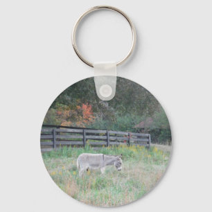 Donkey in een Herfst herfst veld. Sleutelhanger