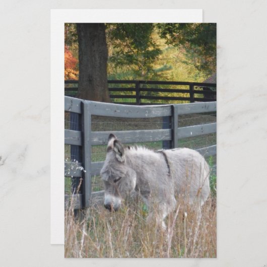 Donkey in een herfst veld briefpapier (Voorkant / Achterkant)