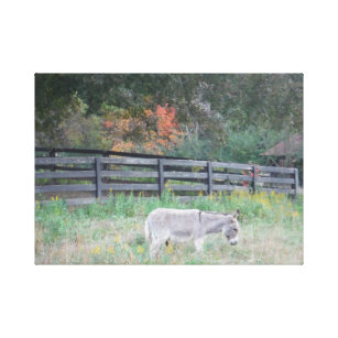 Donkey in een herfst veld canvas afdruk