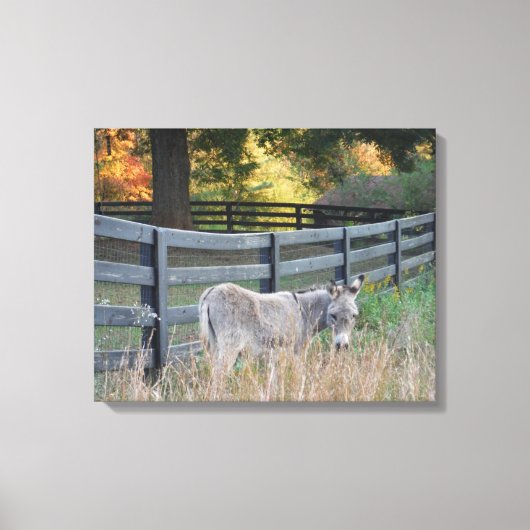 Donkey in een herfst veld canvas afdruk (Voorkant)