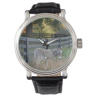Donkey in een herfst veld horloge