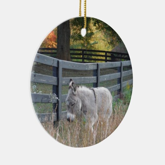 Donkey in een herfst veld keramisch ornament (Rechts)