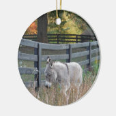 Donkey in een herfst veld keramisch ornament (Links)