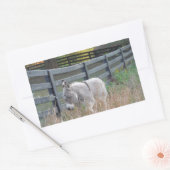 Donkey in een herfst veld rechthoekige sticker (Envelop)