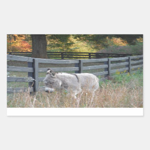 Donkey in een herfst veld rechthoekige sticker
