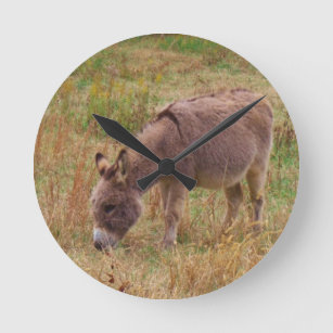 Donkey in een Herfst veld. Ronde Klok