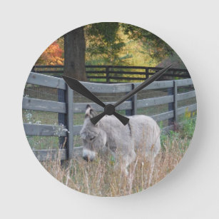 Donkey in een herfst veld ronde klok