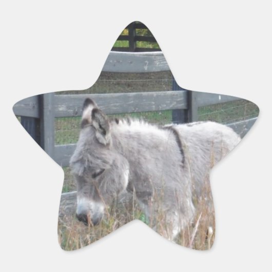 Donkey in een herfst veld ster sticker (Voorkant)