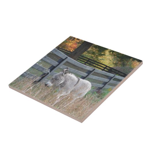Donkey in een herfst veld tegeltje (Zijkant)