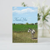 Donkey in een veld bedankkaart (Staand voorkant)