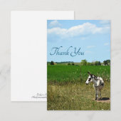 Donkey in een veld bedankkaart (Voorkant / Achterkant)