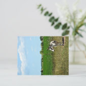 Donkey in een veld briefkaart (Staand voorkant)
