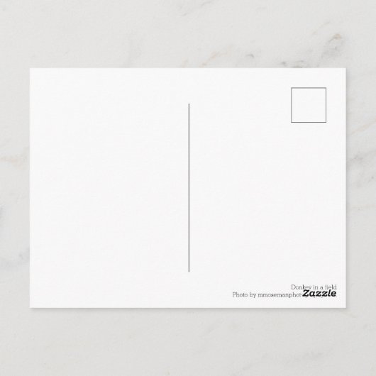 Donkey in een veld briefkaart (Achterkant)