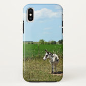 Donkey in een veld Case-Mate iPhone case (Achterkant)