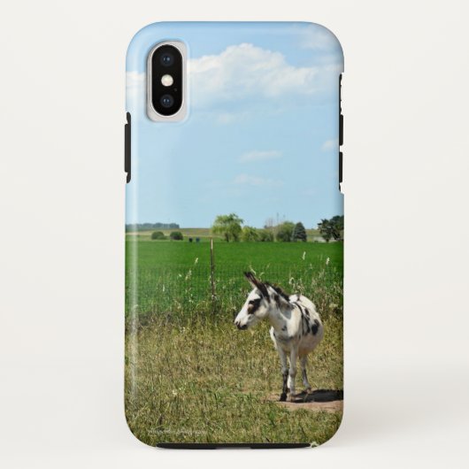 Donkey in een veld Case-Mate iPhone case (Achterkant)