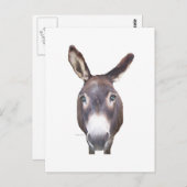Donkey in je gezicht briefkaart (Voorkant / Achterkant)