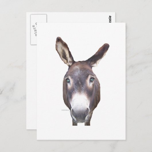 Donkey in je gezicht briefkaart (Voorkant / Achterkant)