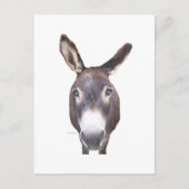 Donkey in je gezicht briefkaart (Voorkant)