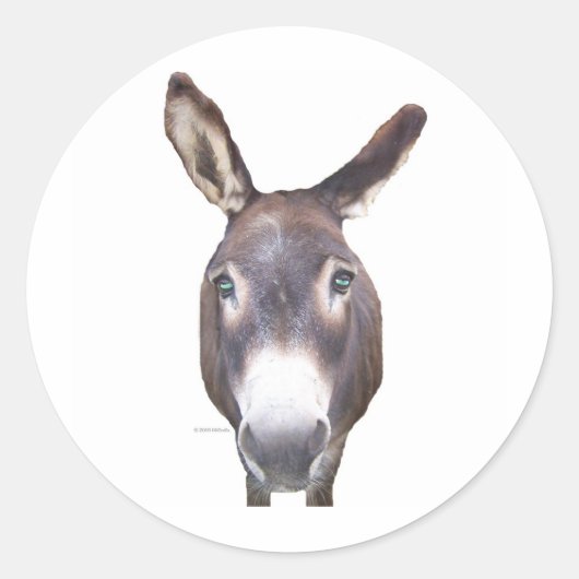 Donkey in je gezicht ronde sticker (Voorkant)