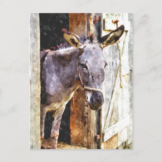 Donkey in waterverf briefkaart (Voorkant)