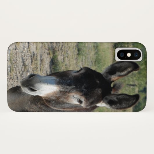 Donkey iPhone case (Achterkant (horizontaal))