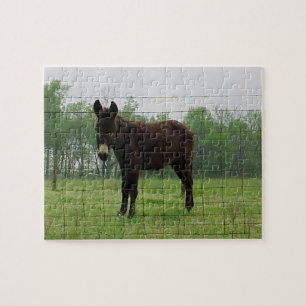 Donkey Jigzaag Puzzle Legpuzzel