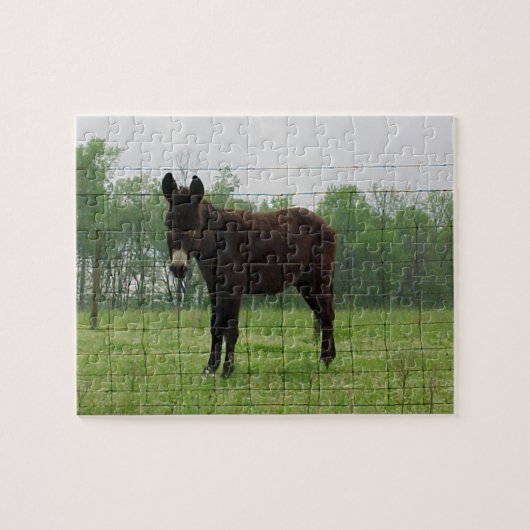 Donkey Jigzaag Puzzle Legpuzzel (Horizontaal)